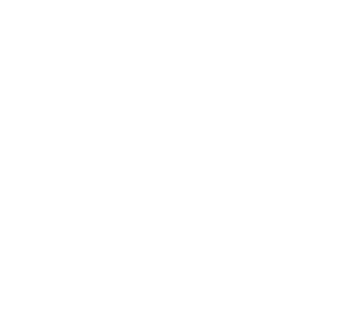 Pereira Distribución